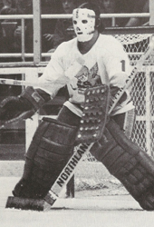 MIKE WALTON Minnesota Fighting Saints 1975 WHA Throwback Hockey