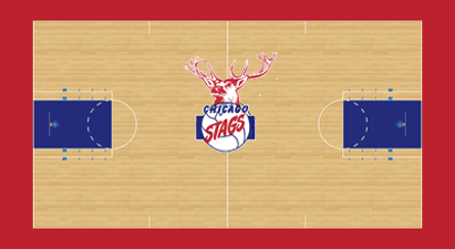 Chicago Stags (Sports Team)